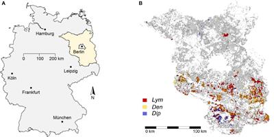 Importance of Ecological Variables in Explaining Population Dynamics of Three Important Pine Pest Insects